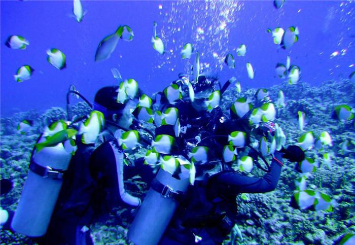 探索深圳一学区房狂降662万元,是什么原因让学区房价格猛降?,解答你的疑问